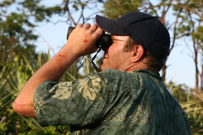 bob montanaro eagle looking at orca scrub copy