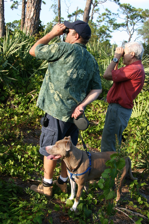 rhba & b montanro eagle looking at orca scrub copy