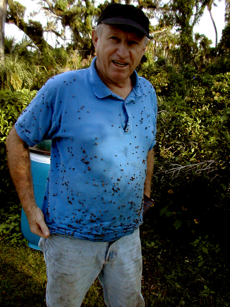 !!Vertical-Peter-Sutherland-on-12-1-2005-w-urena-lobata-burs