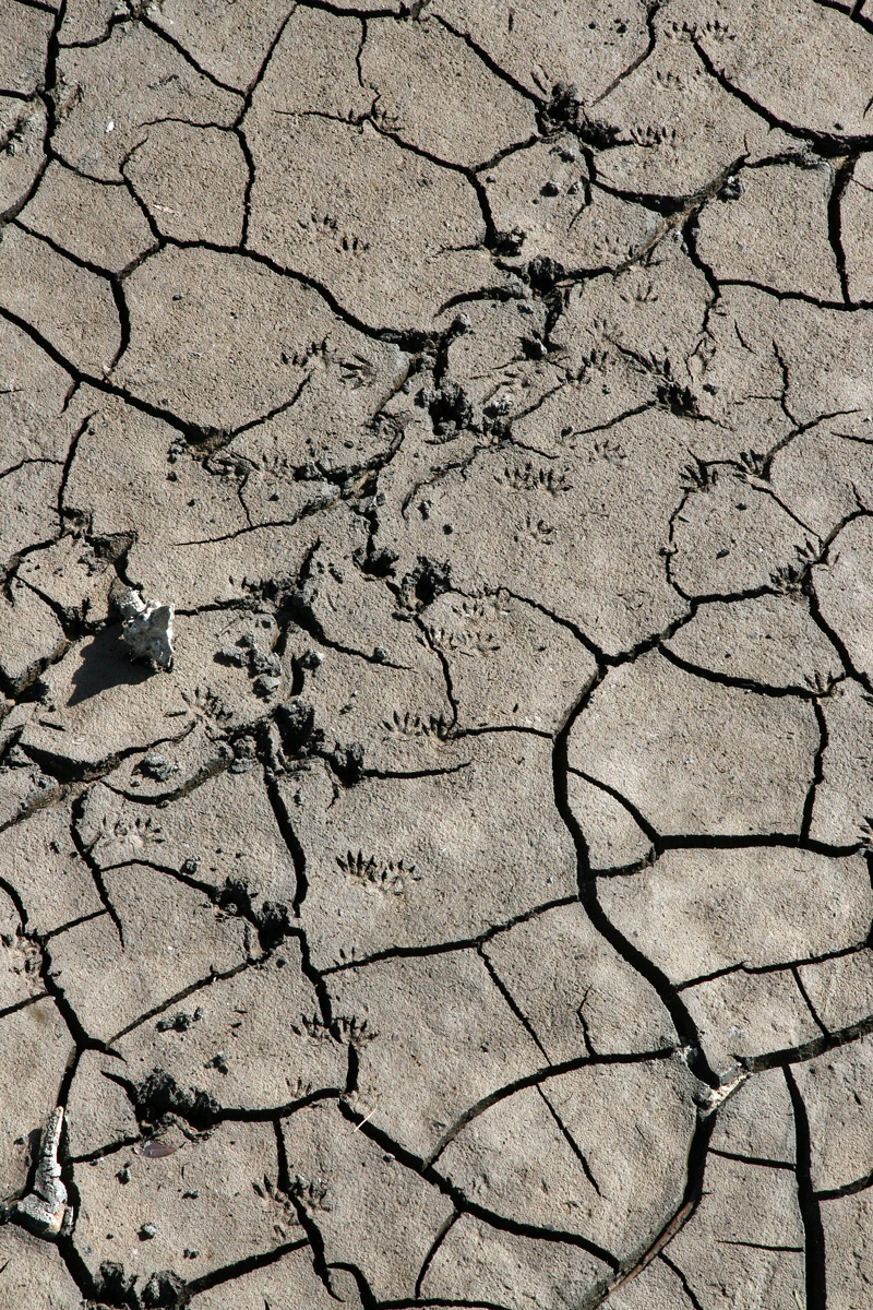 !!dry-mud-in-observation-tower-impound