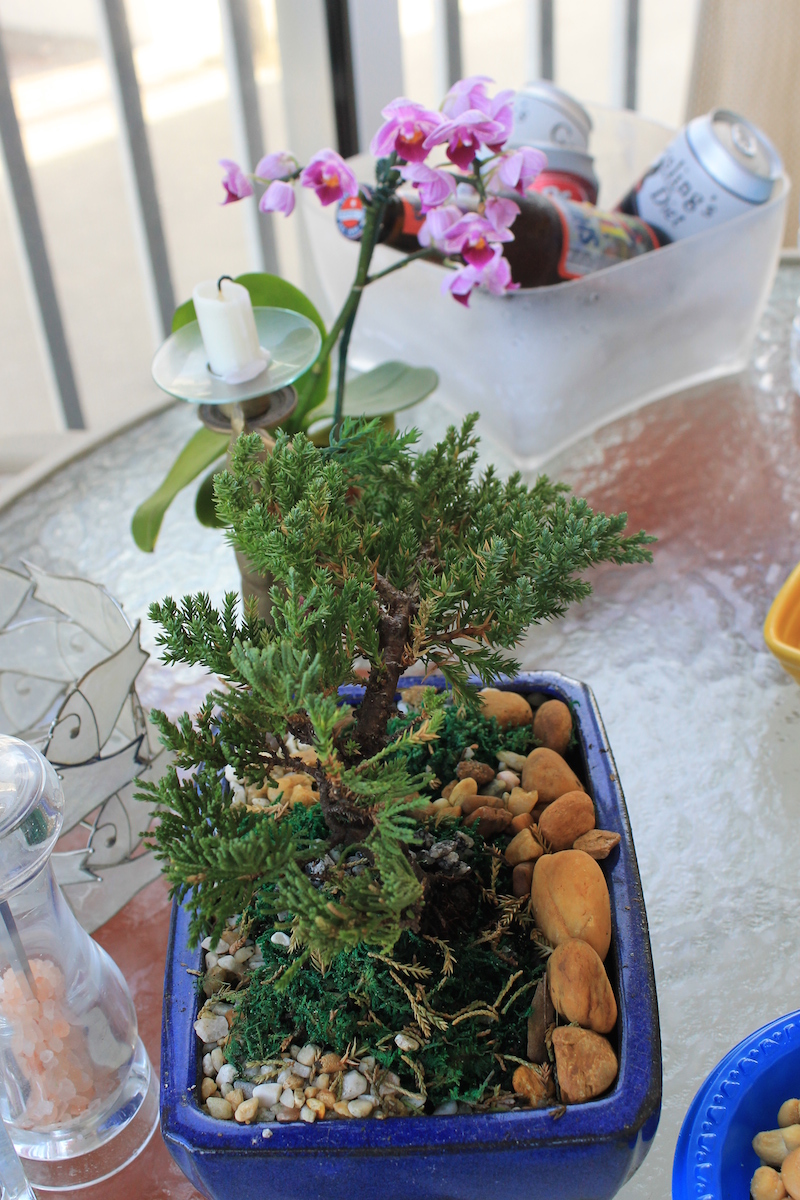 !!joyce thompson hospitality by ks copy