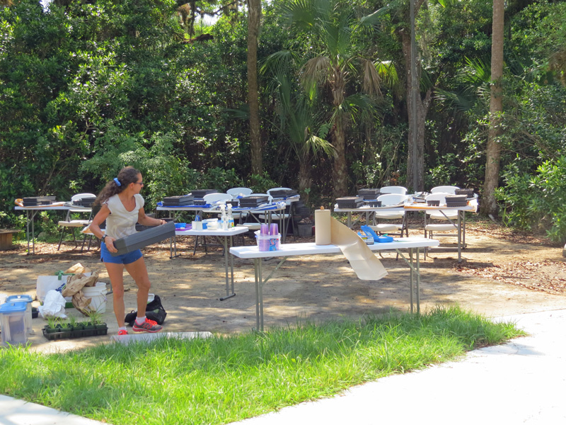 !!judy-grsony-gets-ready-for-3-21-plant-prop-class