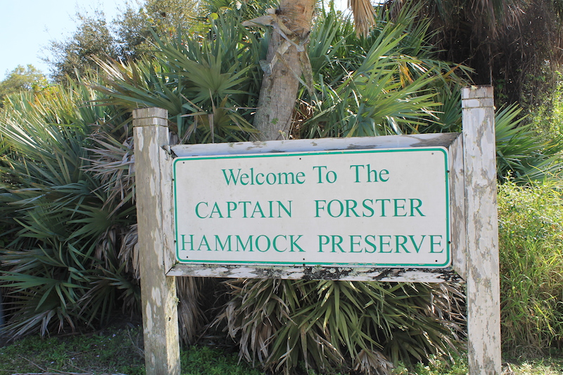 !!welcome sign @ cfp by ks