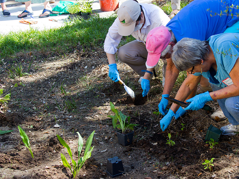 wildflower_workshop_031415_11