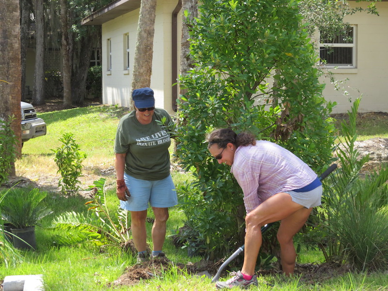 !!Donna Halloran & Judy Gersony copy