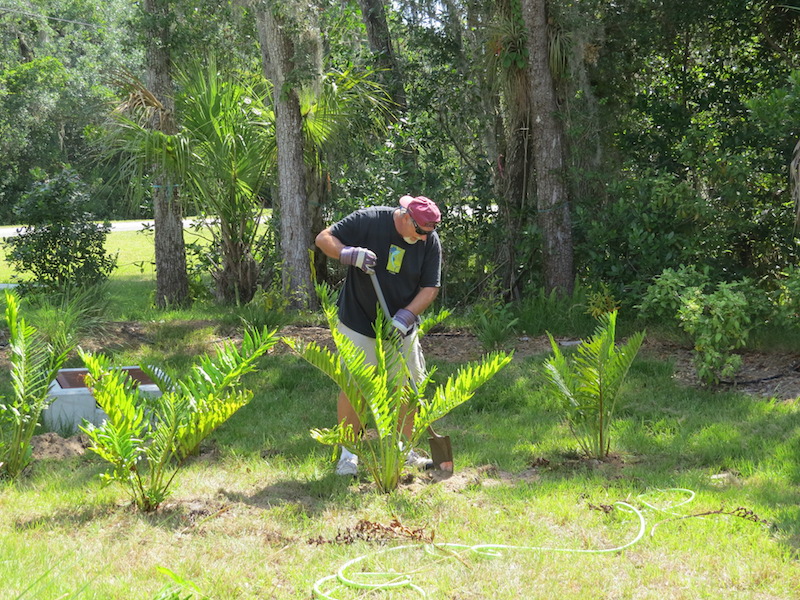 !!Glenn Schussler - leather fern copy