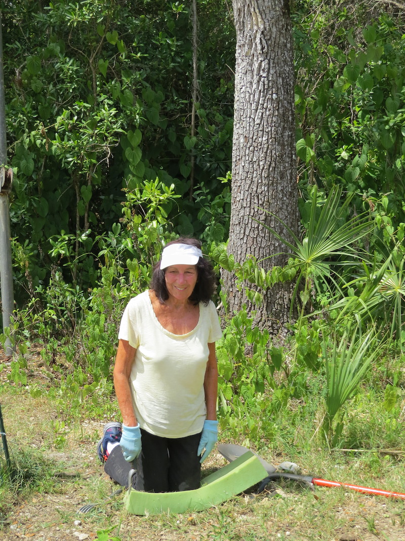 !!Judith fillipich copy