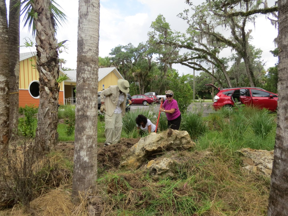 !2cee peterson - judith fillipich & loraaine sutherland copy