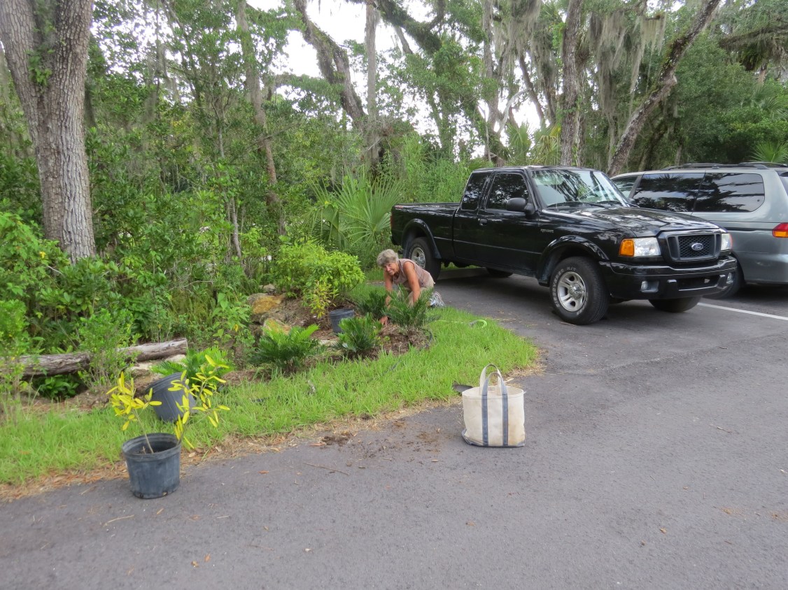 !doreen mcleod on 6-13-15 @ AH planting day copy
