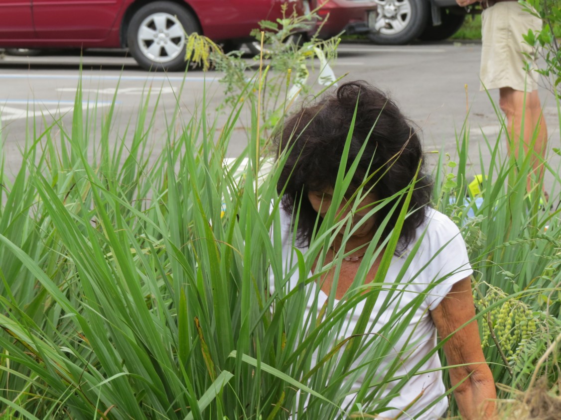 !judith flipich on 6-13-15 @ AH planting day copy
