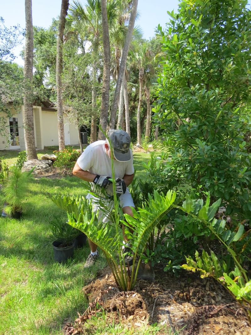 Mike McCallion2 copy