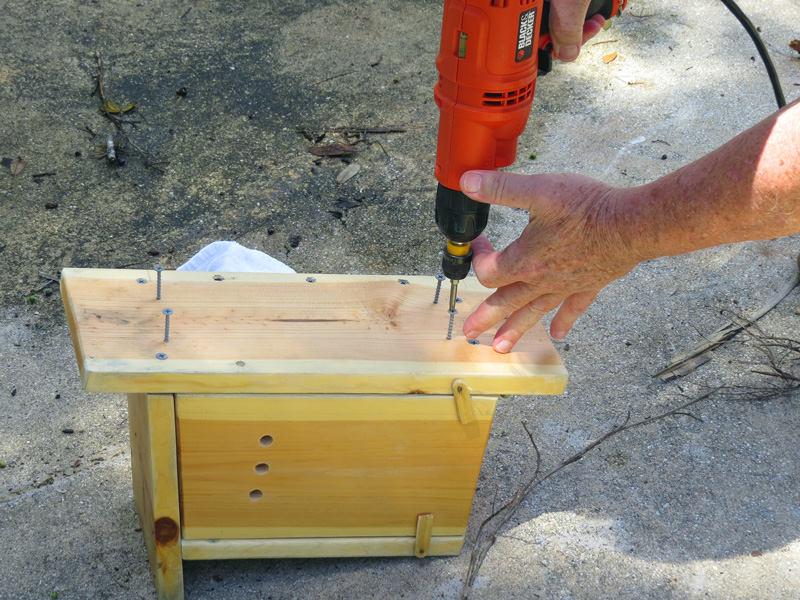 !!!!bluebird-house-@-ah