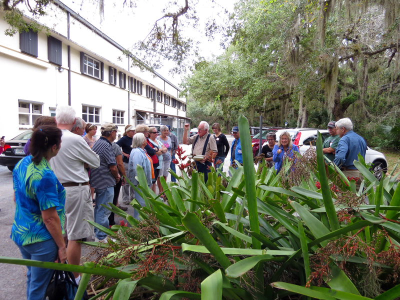 !!!!gfo-at-fmel-life-i-pits