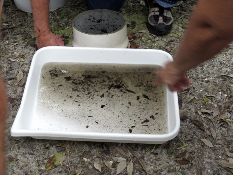 !!!!water-from-hole3