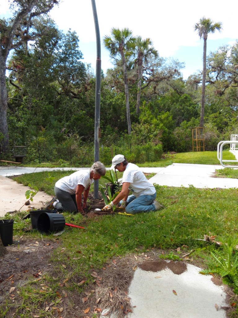 !!!!doreen-mcloed-&-linda-chancellor