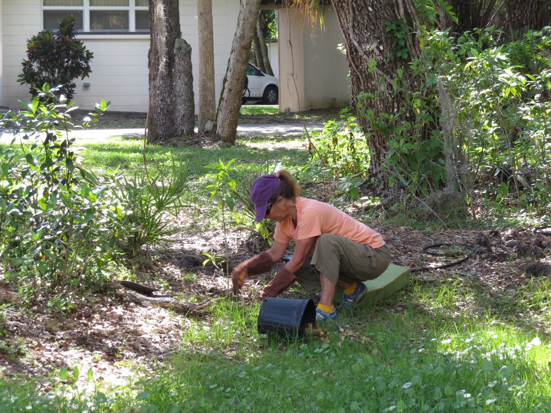 deen copeland on 4-24-2016 at ah