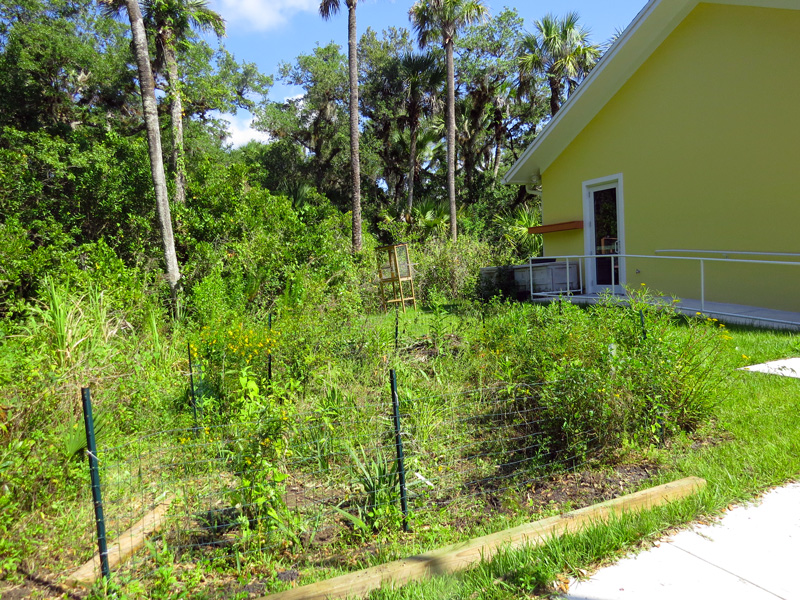 !!!!!5-22-2016-post-weeding4