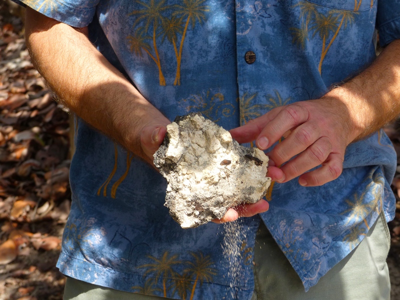 !!mike-renda-showing-piece-of-old-a1a